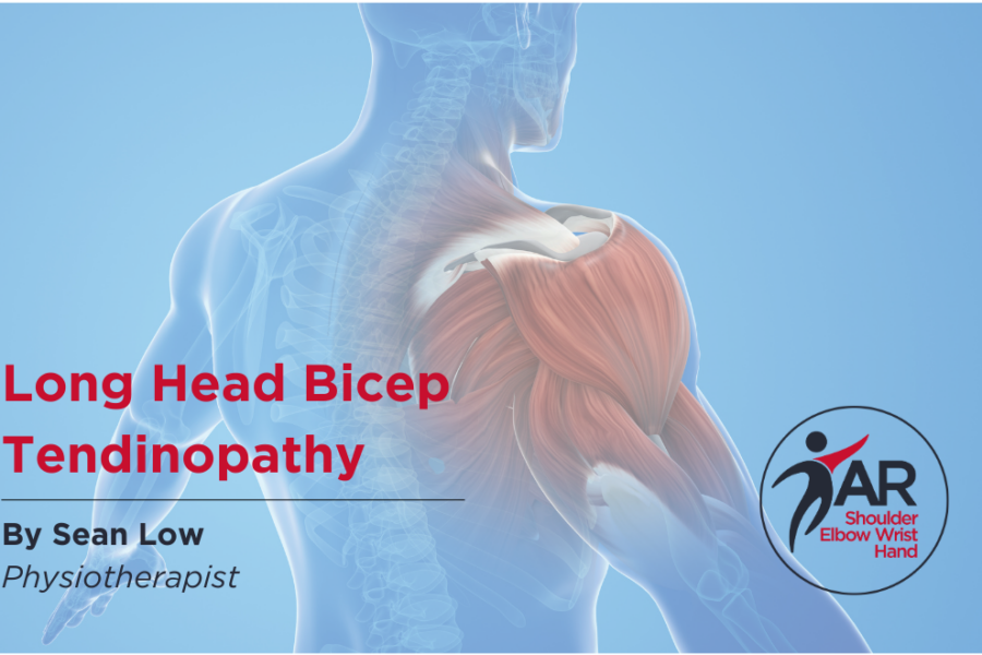 Long Head Bicep Tendinopathy | Action Rehab Hand Therapy Clinic - Shoulder, Elbow, Wrist and Hand Physiotherapists